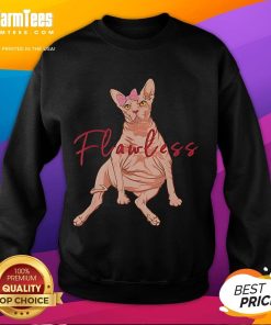 Funny Sphynx cat wearing a flawless sweatshirt, showcasing its unique style and playful personality.