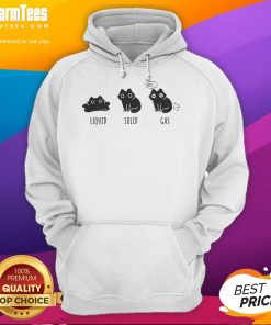 Funny States of Cat Liquid Solid Gas Hoodie design featuring a whimsical cat in various playful forms.