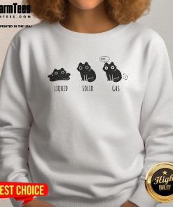 Funny States of Cat Liquid Solid Gas Sweatshirt featuring playful cat graphics and humorous design for cat lovers.