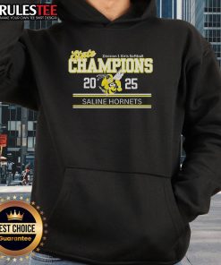 Good Saline Hornets State Champions 2025 Division 1 Girls Softball Hoodie in vibrant colors, celebrating team victory.