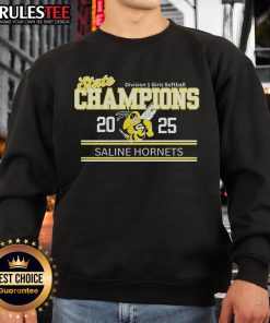 Good Saline Hornets State Champions 2025 Division 1 Girls Softball Sweatshirt showcasing team pride and victory.