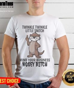 Good Twinkle Twinkle Little Snitch Mind Your Business Nosey Bitch Otter T-Shirt featuring a playful otter graphic.