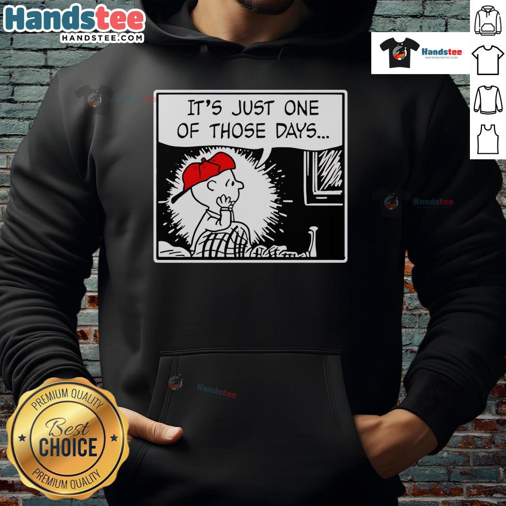 Nice Charlie Brown And Limp Bizkit's Break Stuff It's Just One Of Those Days Hoodie Alt Text: Nice Charlie Brown and Limp Bizkit Break Stuff hoodie design featuring playful graphics for laid-back fashion.