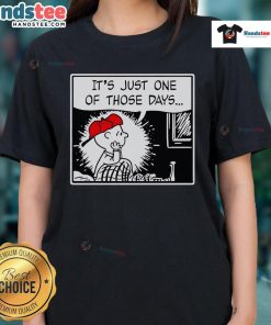 Nice Charlie Brown and Limp Bizkit's Break Stuff Ladies Tee, featuring a fun graphic design perfect for casual wear.