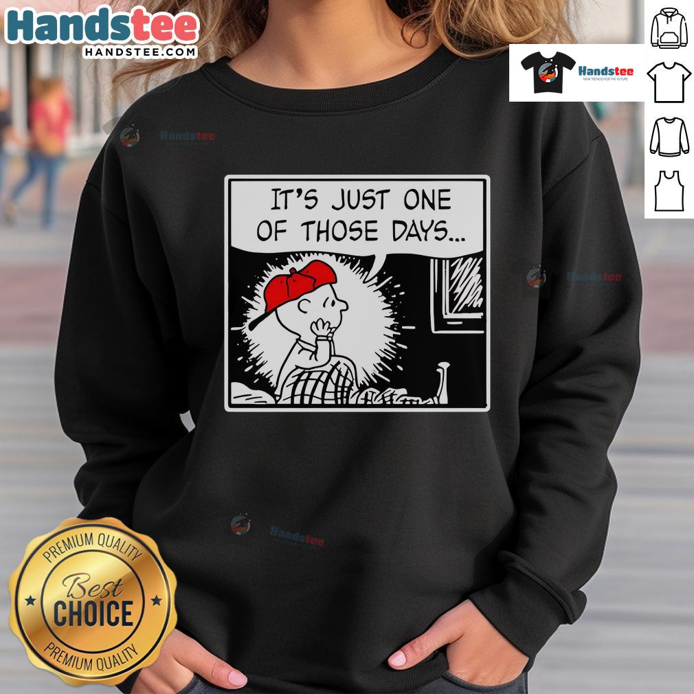 Nice Charlie Brown And Limp Bizkit's Break Stuff It's Just One Of Those Days Sweatshirt Nice Charlie Brown and Limp Bizkit's Break Stuff sweatshirt featuring playful graphics for those tough days.