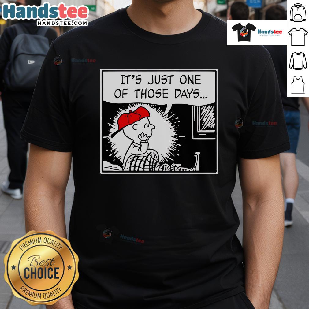 Nice Charlie Brown And Limp Bizkit's Break Stuff It's Just One Of Those Days T-Shirt Nice Charlie Brown and Limp Bizkit's 'Break Stuff It's Just One Of Those Days' T-shirt showcasing a playful design.