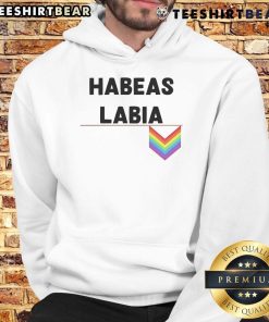 Nice Habeas Labia Pride Logo Hoodie featuring vibrant colors and bold design, perfect for LGBTQ+ pride celebrations.