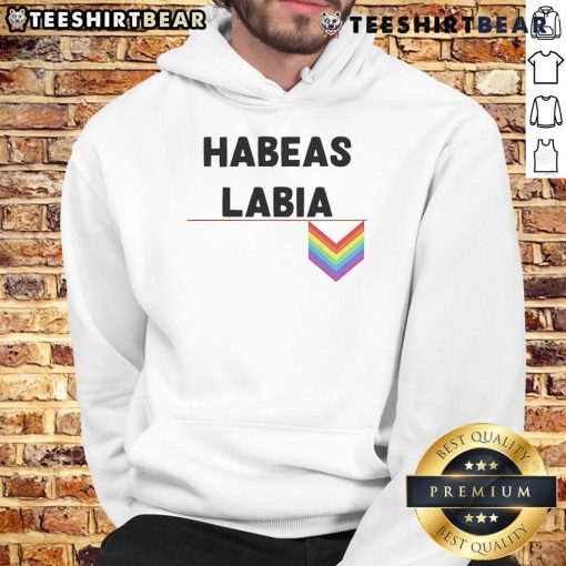 Nice Habeas Labia Pride Logo Hoodie featuring vibrant colors and bold design, perfect for LGBTQ+ pride celebrations.