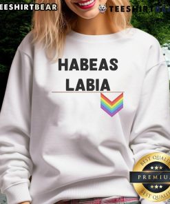 Nice Habeas Labia Pride logo sweatshirt featuring vibrant colors and a bold design, perfect for LGBTQ+ pride events.