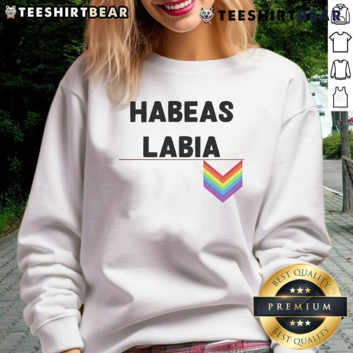 Nice Habeas Labia Pride logo sweatshirt featuring vibrant colors and a bold design, perfect for LGBTQ+ pride events.