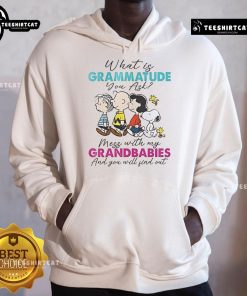 Cozy hoodie featuring 'Mess with my grandbabies and you will find out' graphic, perfect for proud grandparents and peanut lovers.