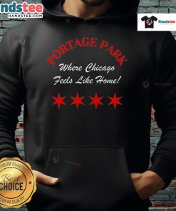 Alt Text: Cozy hoodie featuring Nice Portage Park design, perfect for showcasing Chicago's homey vibe and local pride.