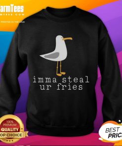 Cute Nice Seagull sweatshirt with 'Imma Steal Ur Fries' design, perfect for casual outings and beach lovers.