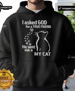 Alt Text: Premium I Asked God For A True Friend So He Sent Me A Cat hoodie featuring a cozy design for cat lovers.