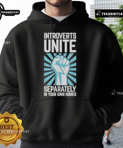 Premium hoodie featuring 'Introverts Unite Separately In Your Own Homes' design, perfect for cozy nights in.