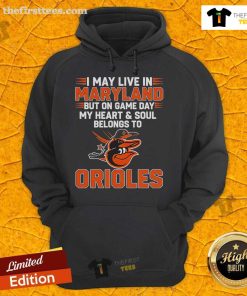Fan wearing a Baltimore Orioles hoodie, showcasing team spirit on game day in Maryland.