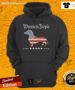 Patriotic Dachshund hoodie featuring a cute design of a dachshund in red, white, and blue for dog lovers.