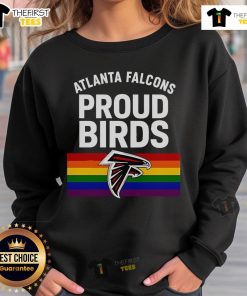 Top Atlanta Falcons LGBT Pride Birds sweatshirt featuring vibrant colors and a stylish design for proud fans.