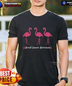 Top Breast Cancer Awareness Flamingo Hope T-Shirt featuring a vibrant flamingo design promoting awareness and support.