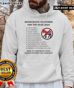 2025 Democratic Platform Socialism Hoodie featuring bold graphics and vibrant colors for political activism and support.