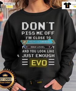 Close-up of the 'Don't Piss Me Off, I'm Close to Max Level' Evo sweatshirt in vibrant colors, perfect for gamers.