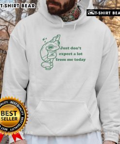 Alt Text: Cute frog hoodie featuring the phrase Just Don't Expect A Lot From Me Today, perfect for casual wear and humor.
