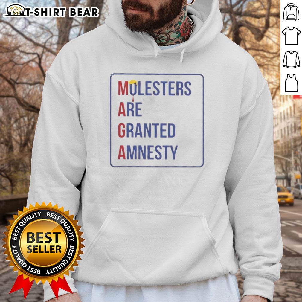 Hot Trump Maga Molesters Are Granted Amnesty Hoodie