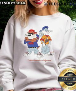 Awesome Bugs Bunny and Taz in Little Armenia Hollywood sweatshirt, showcasing vibrant cartoon characters in urban fashion.