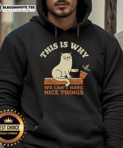 Awesome cat on 'This Is Why We Can't Have Nice Things' hoodie, showcasing humor and style for cat lovers.