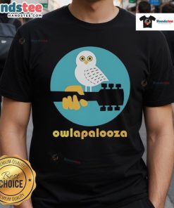 Cute Owlapalooza T-Shirt featuring colorful owl graphics, perfect for animal lovers and festival enthusiasts.