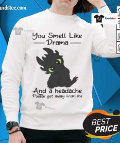 Alt Text: Cute Toothless sweatshirt featuring the phrase You smell like drama and a headache, please get away from me.