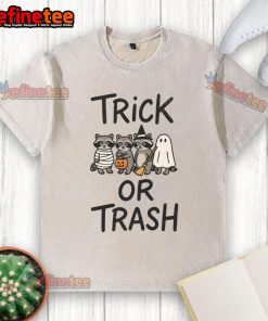 Adorable raccoon graphic on a washed t-shirt for Halloween, perfect for trick or treating or festive fall wear.