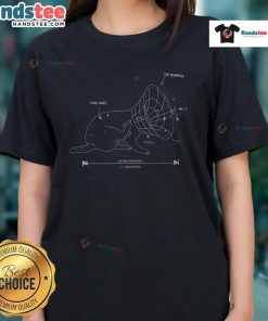 Funny cat graphic tee featuring Big Bang expansion and universe themes, perfect for science lovers and space enthusiasts.