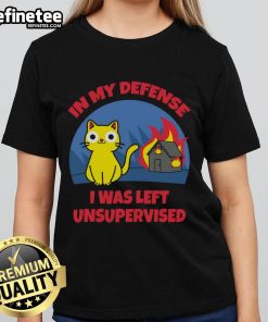 Funny cat in 'In My Defense I Was Left Unsupervised' tee, posing in a playful manner amid a cartoonish burning house.