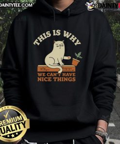 Funny cat in a 'This Is Why We Cant Have Nice Things' hoodie, showcasing playful mischief and charm.
