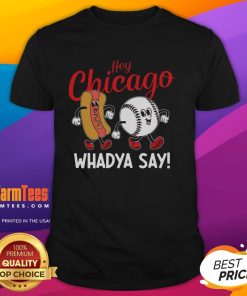 Alt Text: Funny Hey Chicago Whadya Say baseball and hot dog retro t-shirt design featuring a playful graphic and vibrant colors.