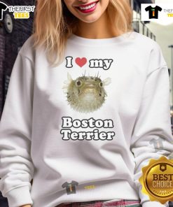 Alt Text: Funny I Love My Boston Terrier sweatshirt featuring a playful dog design, perfect for Boston Terrier lovers.
