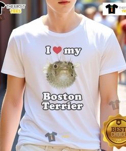 Alt Text: Funny I Love My Boston Terrier T-Shirt featuring a playful design, perfect for Boston Terrier enthusiasts.