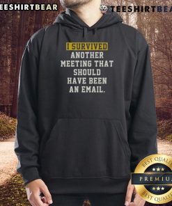 Funny 'I Survived Another Meeting That Should Have Been An Email' hoodie, perfect for casual office attire.