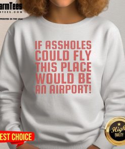 Alt Text: Funny sweatshirt with the phrase If assholes could fly, this place would be an airport designed for humor lovers.