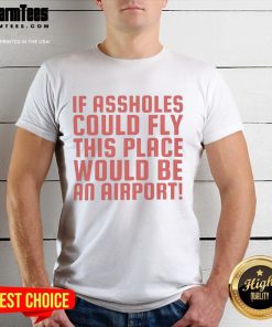 Funny 'If Assholes Could Fly This Place Would Be An Airport' T-Shirt design featuring humorous text on a casual tee.