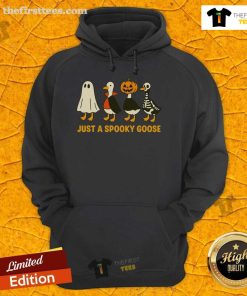 Alt Text: Funny spooky goose in Halloween costumes wearing a hoodie, perfect for festive and humorous celebrations.