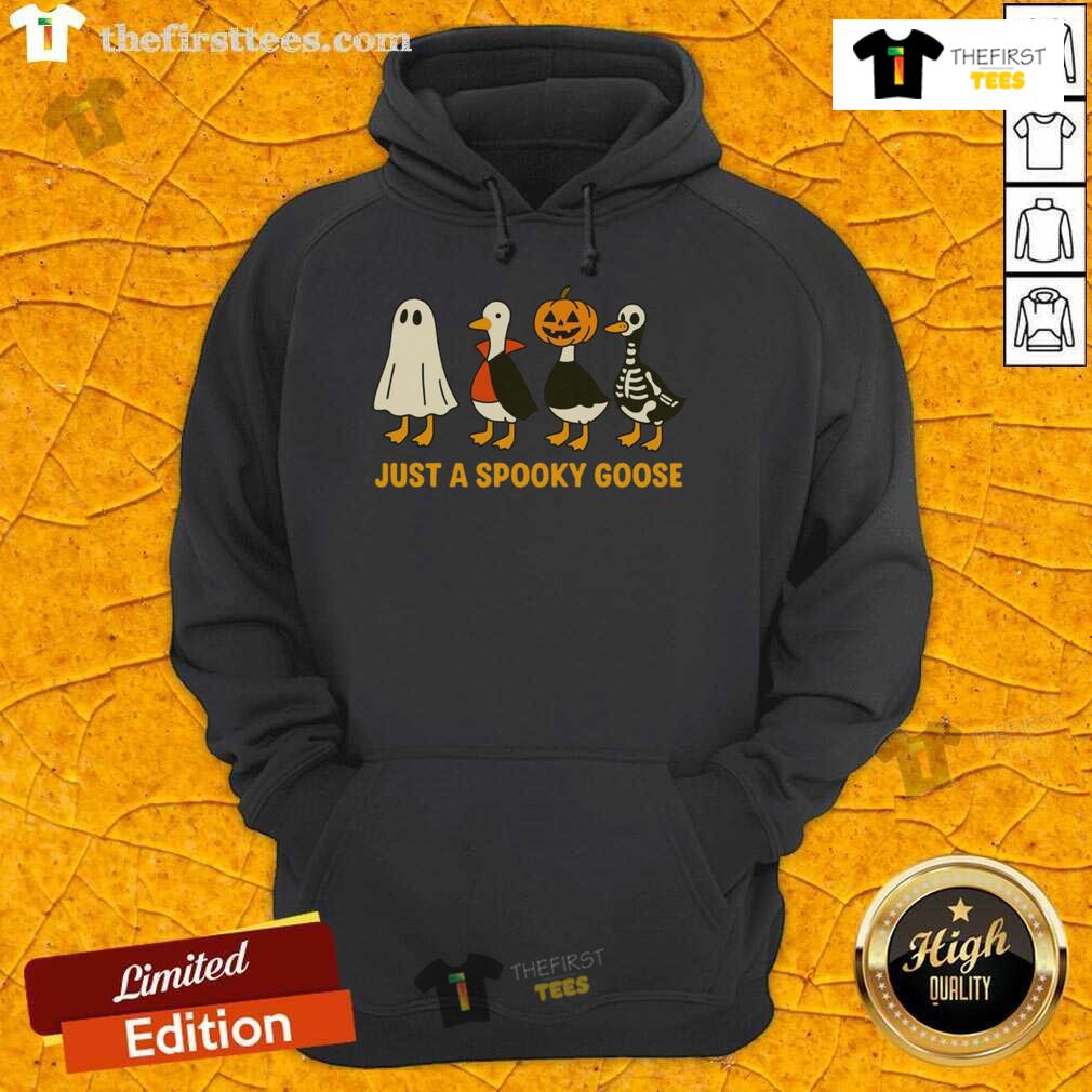 Funny Spooky Goose Goose In Halloween Costumes Hoodie Alt Text: Funny spooky goose in Halloween costumes wearing a hoodie, perfect for festive and humorous celebrations.