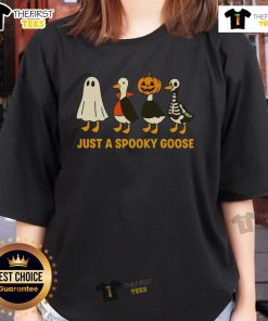 Funny spooky goose in Halloween costumes on ladies tee, perfect for Halloween parties and festive celebrations.