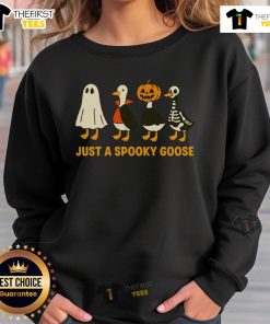 Funny spooky goose in Halloween costumes sweatshirt, featuring playful designs perfect for festive celebrations.