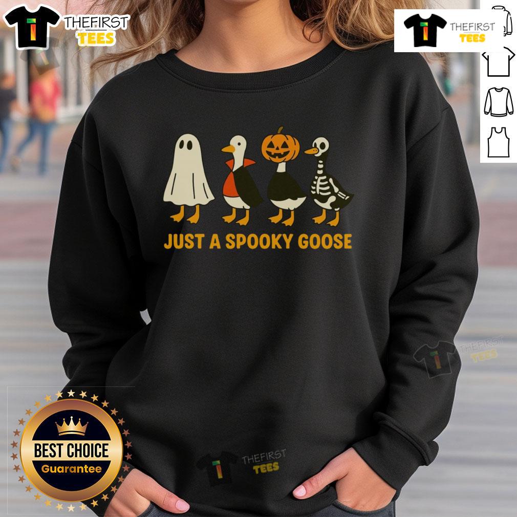 Funny Spooky Goose Goose In Halloween Costumes Sweatshirt Funny spooky goose in Halloween costumes sweatshirt, featuring playful designs perfect for festive celebrations.