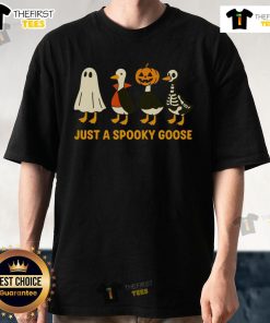 Funny spooky goose wearing Halloween costumes on a t-shirt, perfect for festive celebrations and costume parties.