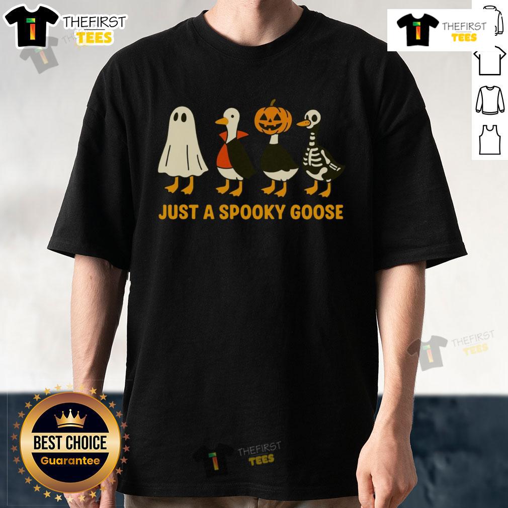 Funny Spooky Goose Goose In Halloween Costumes T Shirt Funny spooky goose wearing Halloween costumes on a t-shirt, perfect for festive celebrations and costume parties.