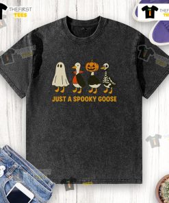 Funny spooky goose in Halloween costumes on a washed t-shirt, perfect for festive and quirky Halloween vibes.