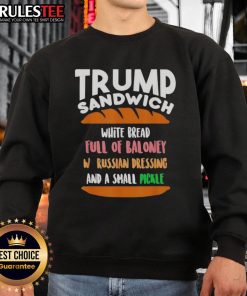Funny Trump sandwich design on a sweatshirt, showcasing anti-Trump sarcasm for Free DC supporters.